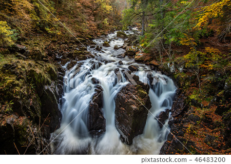 Autumn on the River Braan in Perthshire 46483200