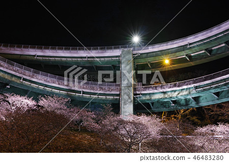 [靜岡縣]河津Nanadaki環橋的夜景和櫻花 46483280