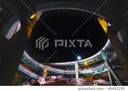 [靜岡縣]河津Nanadaki環橋的夜景和櫻花 46483295