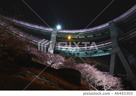 [靜岡縣]河津Nanadaki環橋的夜景和櫻花 46483303
