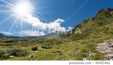 National Park of Adamello Brenta in Italy 46483462