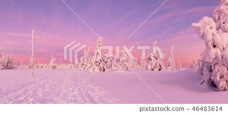 Panoramic idyllic winter landscape Panoramic idyllic winter landscape 46483614