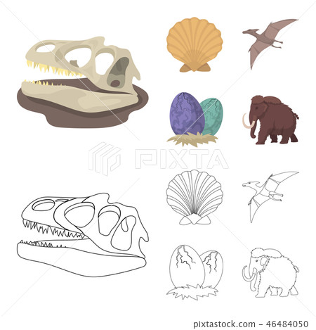 Prehistoric shell, dinosaur eggs,pterodactyl, mammoth. Dinosaur and prehistoric period set 46484050