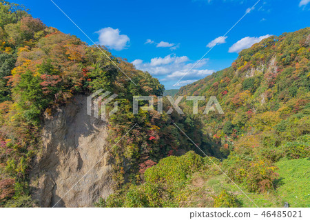 秋葉藍天夢想停止Ohashi 46485021