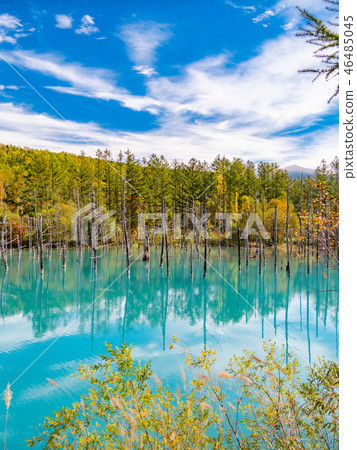 The mystical beauty of the cobalt blue and trees reflected in the Shirogane Blue Pond in Hokkaido. The mystical beauty of the cobalt blue and trees reflected in the Shirogane Blue Pond in Hokkaido. 46485045