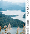 Ishigaki Island 46485299