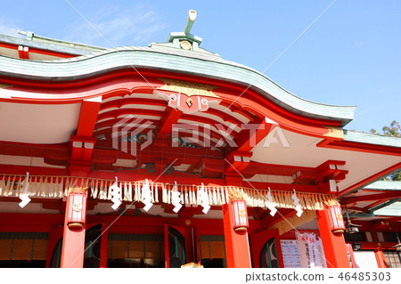 Tomioka Hachimangu Shrine 46485303