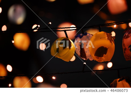 Kobe Forest Botanical Garden handmade light up 46486073