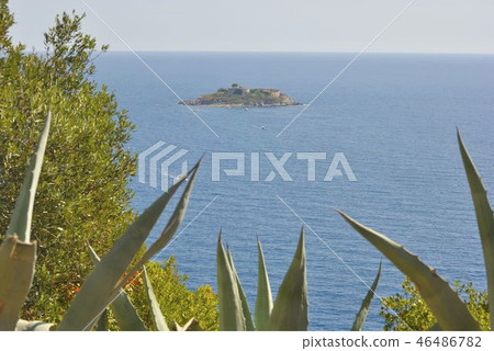 Island of Mamula fortress Island of Mamula fortress 46486782