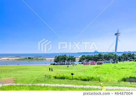 東京Kasai Rinkai公園觀察廣場 46487004