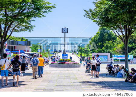 Kasai Rinkai公園在東京夏天 46487006