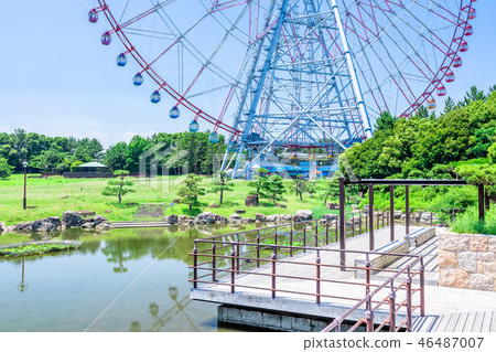 Kasai Rinkai Park in Tokyo Summer 46487007