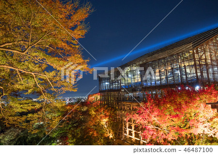 Kiyomizu-dera light up Kiyomizu-dera light up 46487100