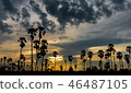 Twilight Beautiful sunset landscape with sugar pal 46487105
