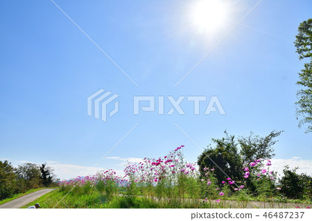 宇宙（新潟縣） 46487237