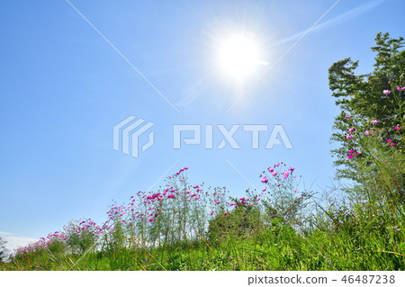 宇宙（新潟縣） 46487238