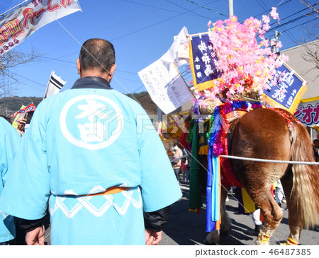 Gorgeous bellow horse of Kagoshima Jingu's first noon festival 46487385