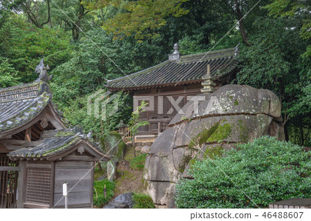 後樂園Chiyodo 後樂園Chiyodo 46488607