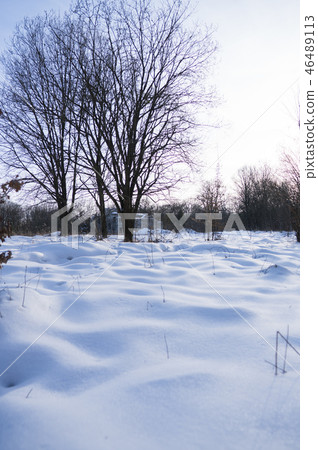 Beautiful winter forest with a trees covered with a white snow. Beautiful winter forest with a trees covered with a white snow. 46489113