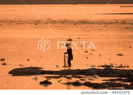 Asian Woman fishing in the river, silhouette  46491976