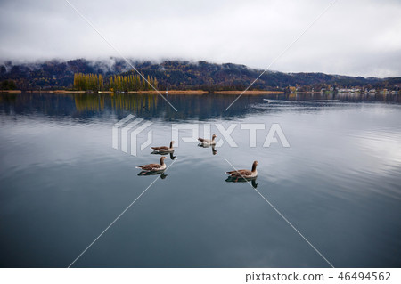 Salzkammergut, Austria 46494562