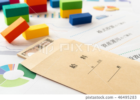 薪資資產管理薪資信封使用情況圖薪資袋 46495283