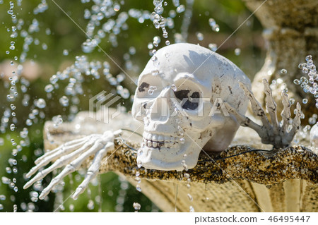 Skull figurine 46495447