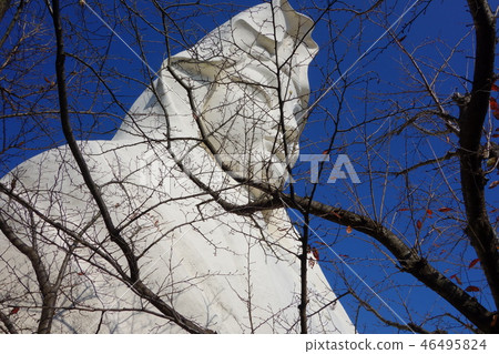 Ofuna Kannon Ofuna Kannon 46495824