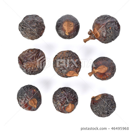 Soap nut tree isolated on white background 46495968