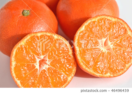 Mandarin orange (Koyasu Ohara) Mandarin orange (Koyasu Ohara) 46496439