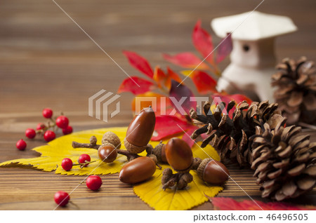 秋天的形象 46496505