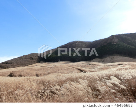 Autumn in Hakone 46496692