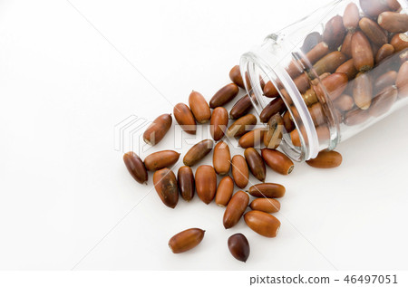 橡子 橡子 46497051