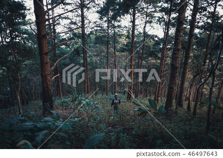 Mountain view Daytime countryside Tourist 46497643