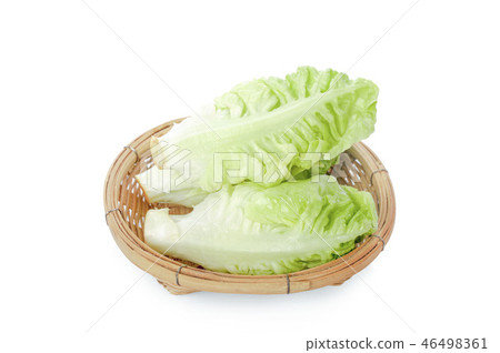 fresh baby cos (lettuce) on white background fresh baby cos (lettuce) on white background 46498361