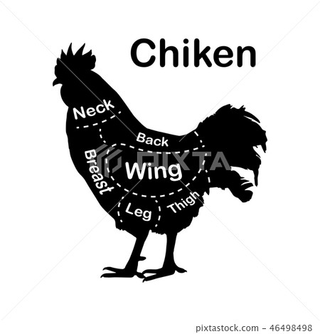 Meat cuts - chicken. Diagrams for butcher shop.... - Stock ...
