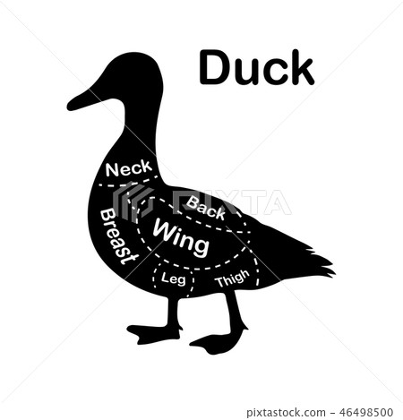 Meat cuts - duck. Diagrams for butcher shop. Scheme of duck. Animal silhouette duck. Guide for 46498500