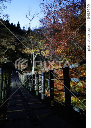 Hanaini峽谷汐留瀑布吊橋 Hanaini峽谷汐留瀑布吊橋 46498699