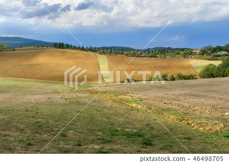 Landscape in Chianti region in province of Siena Landscape in Chianti region in province of Siena 46498705