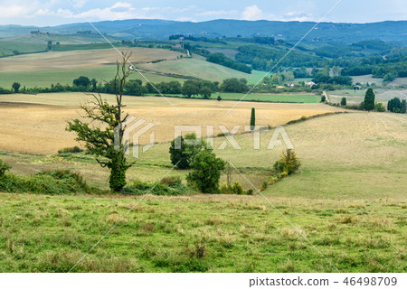 Landscape in Chianti region in province of Siena Landscape in Chianti region in province of Siena 46498709
