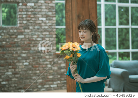 sunflower, sunflowers, female 46499329