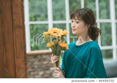 sunflower, sunflowers, female 46499330