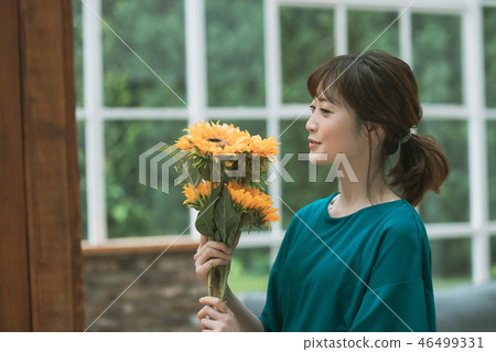 sunflower, sunflowers, female 46499331