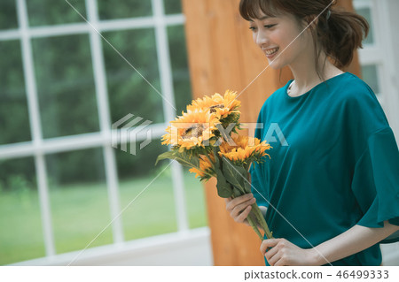 sunflower, sunflowers, female 46499333