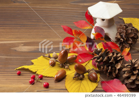 Fall image 46499399