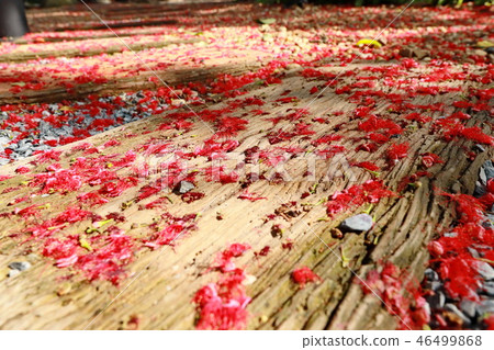 Red fall pollen scattered on gravel, stone blocks. Red fall pollen scattered on gravel, stone blocks. 46499868
