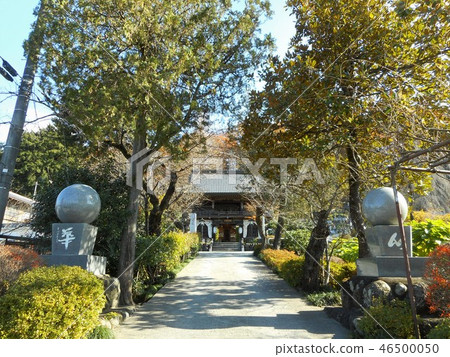 Chichibu-Budasho第十二個Nosakaji寺 Chichibu-Budasho第十二個Nosakaji寺 46500050