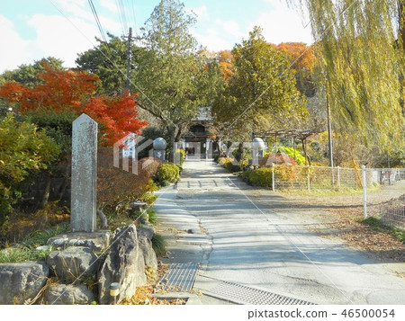 Chichibu-Budasho Twelfth Nosakaji Temple Chichibu-Budasho Twelfth Nosakaji Temple 46500054