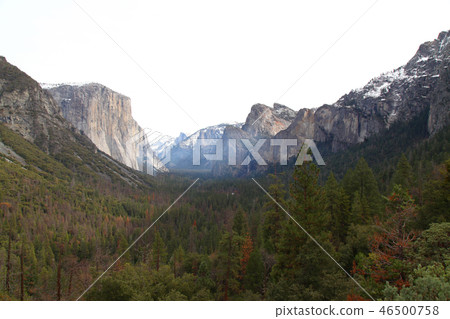 View of Yosemite National Park in USA View of Yosemite National Park in USA 46500758