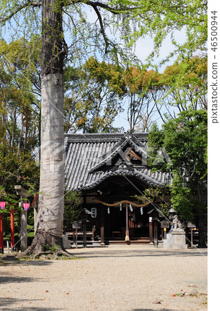 Ikeda Yasaka Shinto shrine-4 46500944